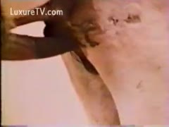 A private moment of love-making for a donkey